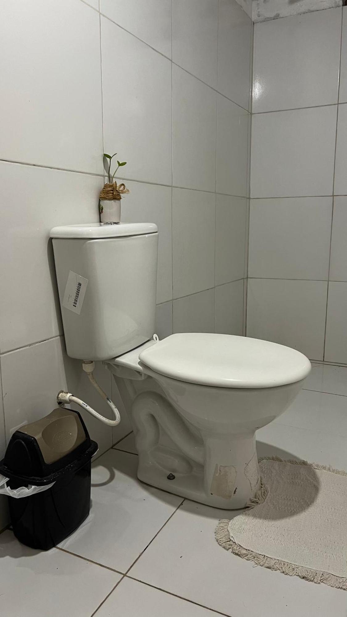 Hostel Renascer Nos Lencois 巴雷里尼亚斯 外观 照片